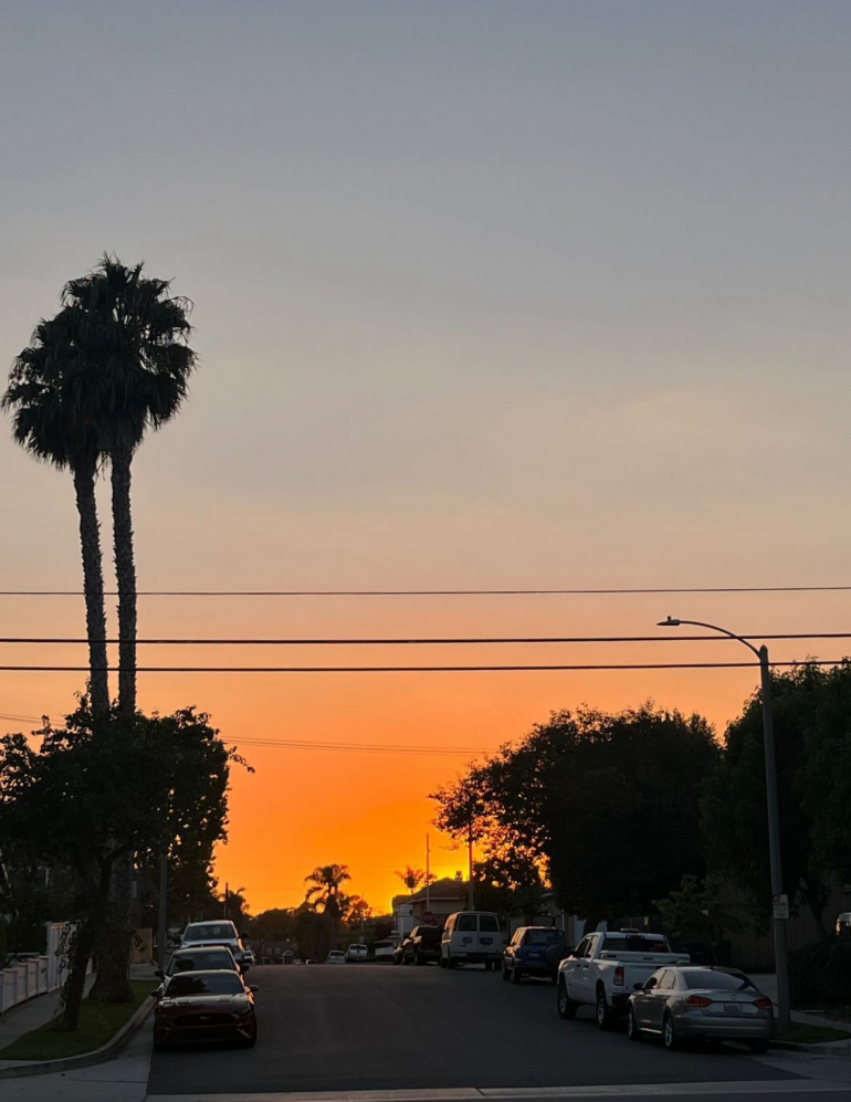 Summer on the Horizon: How SNU Students Are Spending Their Break 